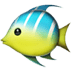Tropical fish emoji, fish emoji, tropical fish, blue and green fish