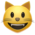 Cat emoji, Apple's Grinning Cat emoji, Grinning Cat symbol 