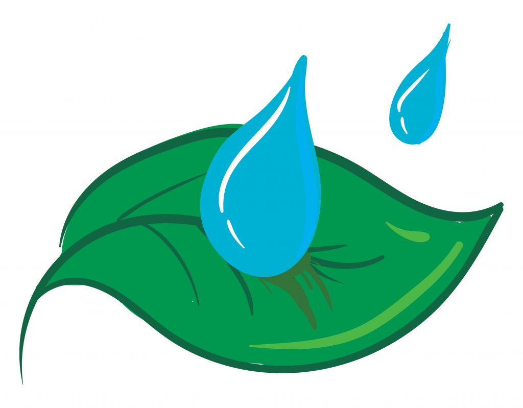 Water Emoji