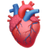 ๐ซ anatomical heart Emoji on Apple Platform ๐ซ anatomical heart Emoji on Apple Platform