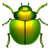 πͺ² beetle Emoji on Apple Platform πͺ² beetle Emoji on Apple Platform