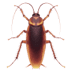 πͺ³ cockroach Emoji on Apple Platform πͺ³ cockroach Emoji on Apple Platform