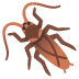 πͺ³ cockroach Emoji on Google Platform πͺ³ cockroach Emoji on Google Platform