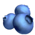 đĢ blueberries Emoji on Apple Platform đĢ blueberries Emoji on Apple Platform