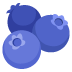 đĢ blueberries Emoji on Google Platform đĢ blueberries Emoji on Google Platform