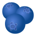 đĢ blueberries Emoji on Joypixels Platform đĢ blueberries Emoji on Joypixels Platform