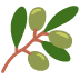 ๐ซ olive Emoji on Twitter Platform ๐ซ olive Emoji on Twitter Platform
