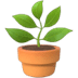 🪴 potted plant Emoji on Apple Platform