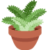 🪴 potted plant Emoji on Twitter Platform