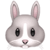 apple apple