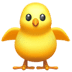 apple apple