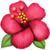 🌺 Hibiscus Emoji | 🏆 Emojiguide