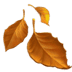 🍂 Fallen Leaf Emoji | 🏆 Emojiguide