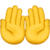 🤲 Palms Up Together Emoji | 🏆 Emojiguide