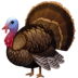 🦃 Turkey Emoji | 🏆 Emojiguide