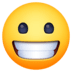 😀 笑嘻嘻 表情符号 😀 笑嘻嘻 表情符号