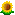 🌻 Sunflower Emoji | 🏆 Emojiguide