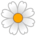 🌼 Blossom Emoji | 🏆 Emojiguide