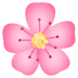 🌸 Cherry Blossom Emoji | 🏆 Emojiguide