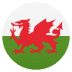 🏴 flag: Wales JoyPixels平台的表情符号 🏴 flag: Wales JoyPixels平台的表情符号