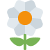 🌼 Blossom Emoji | 🏆 Emojiguide