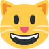 😺 Grinning Cat Emoji | 🏆 Emojiguide